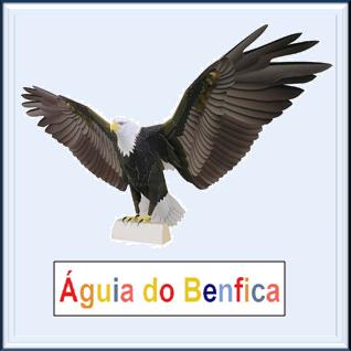 aguia